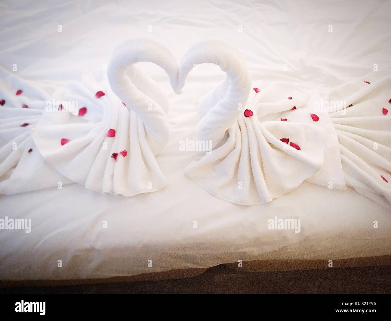 Honeymoon swan heart, wedding heart with rose petals on the bed Stock Photo