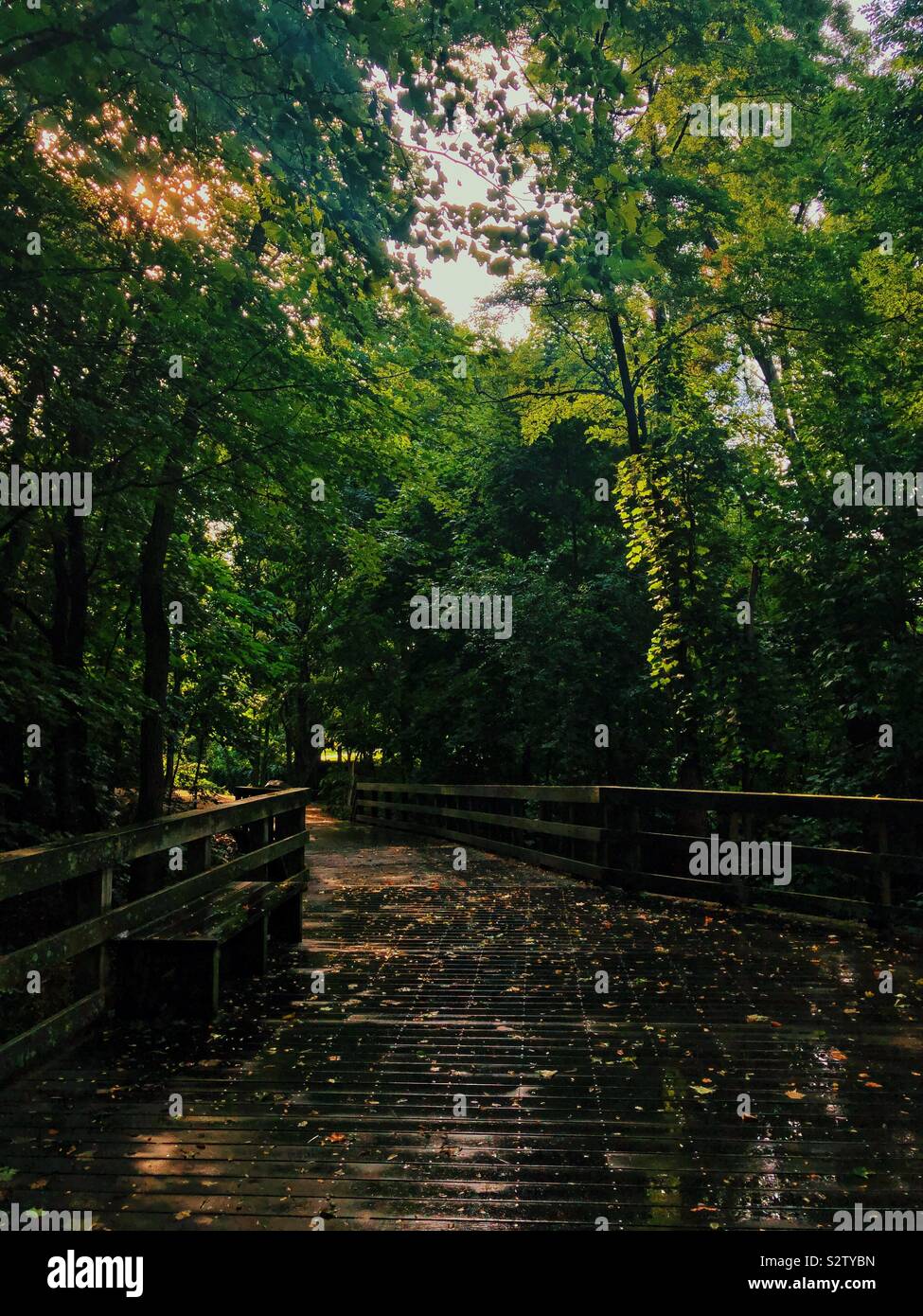 Sunshine after the rain hi-res stock photography and images - Alamy