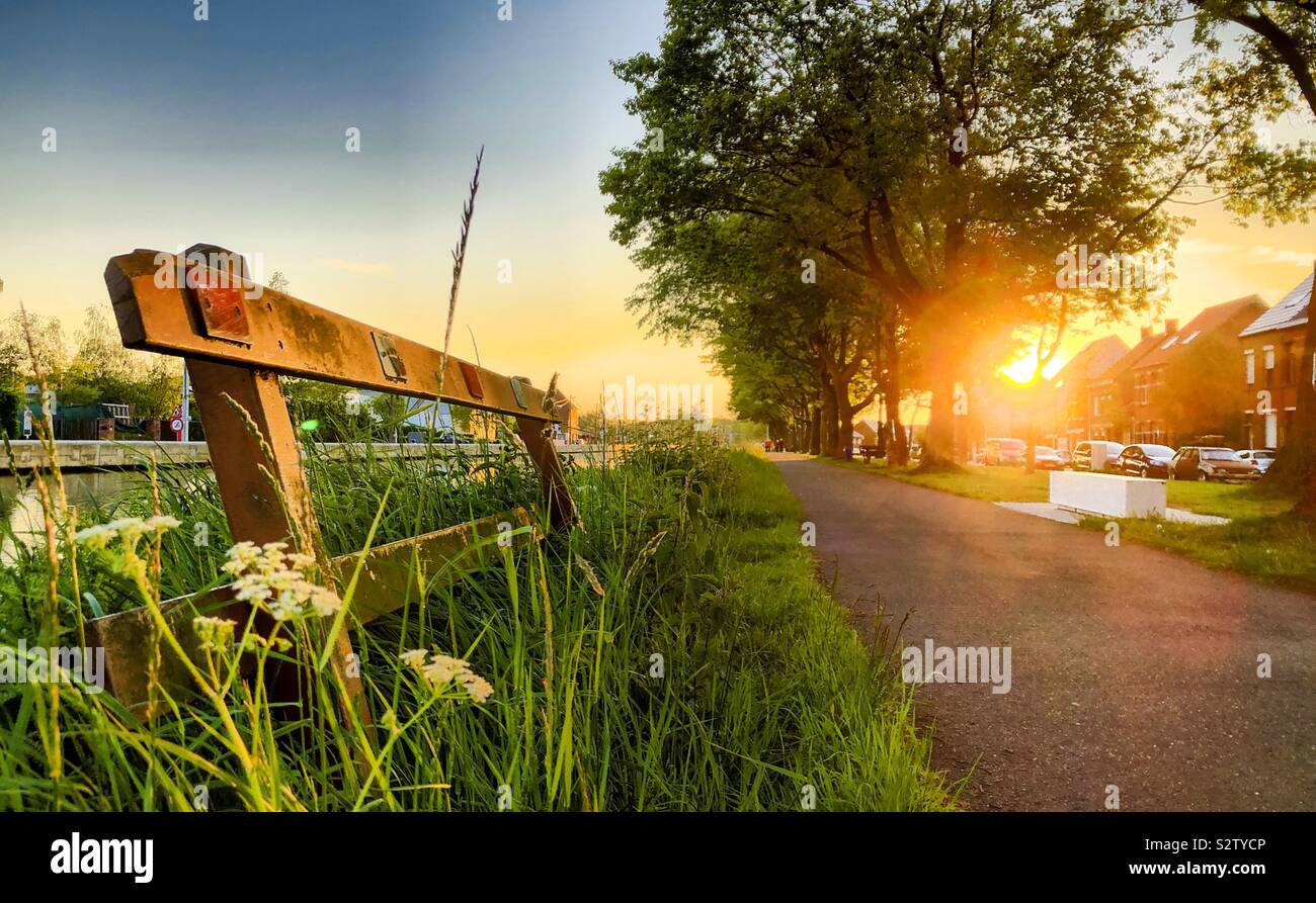 Wooden fence in the grass under the trees alongside a Countryside Road in the Golden sun of an idyllic sunset - Smartphone Captured Stock Image