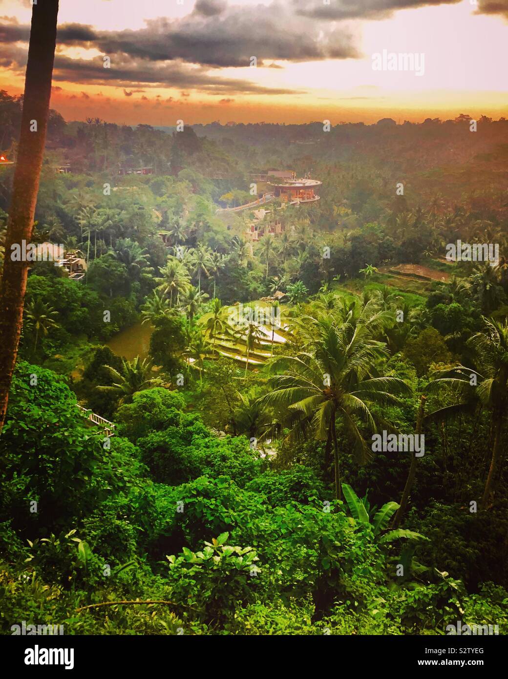 Sunset in Ubud Bali Stock Photo Alamy