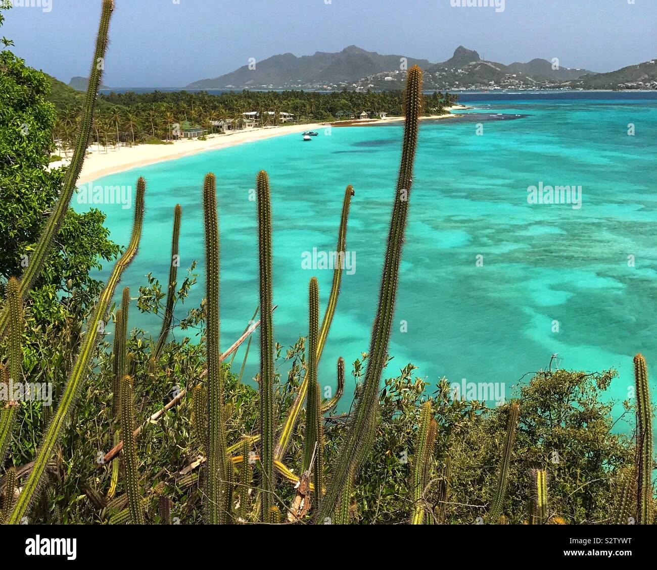 Palm Island in The Grenadines, view through the Cactuses of Beach and Union Island Stock Photo