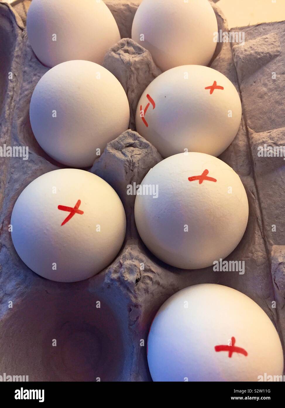 Raw and hard boiled eggs in a cardboard carton, USA - Smartphone Captured Stock Image