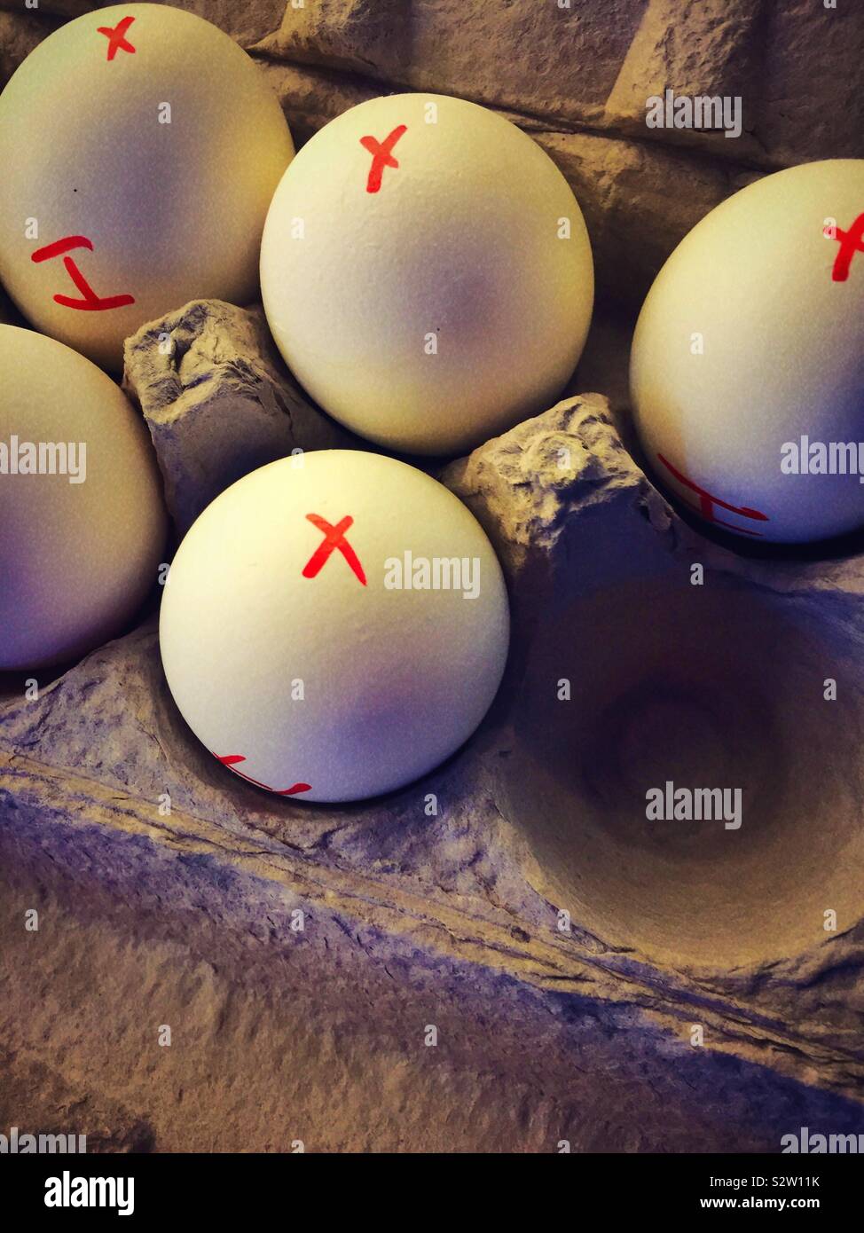 Raw and hard boiled eggs in a cardboard carton, USA - Smartphone Captured Stock Image