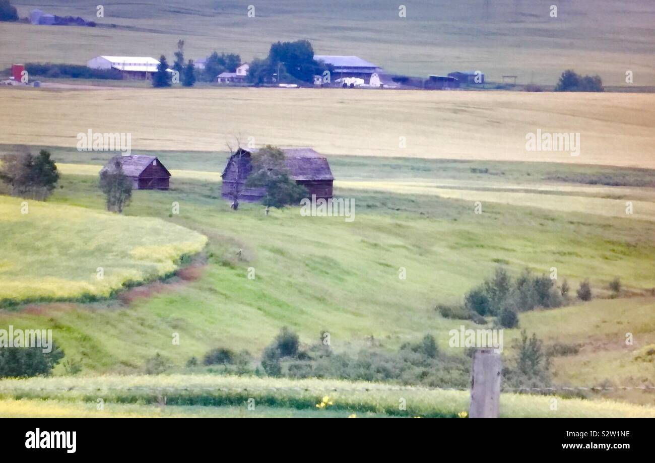 Old farm buildings and new farm buildings - Smartphone Captured Stock Image