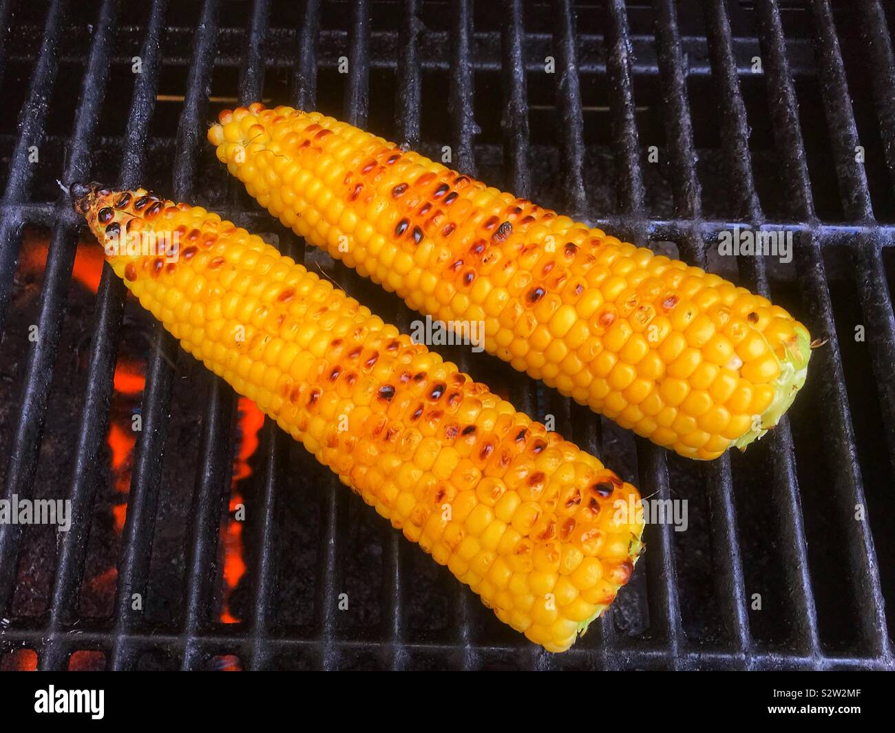 Barbecue corn cobs Stock Photo Alamy