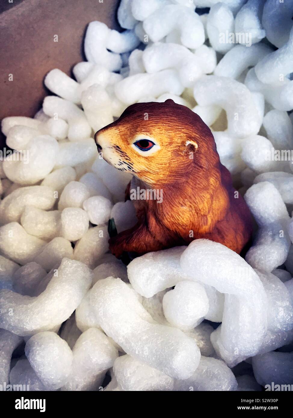 Fragile prairie dog figurine in a cardboard packing box surrounded by Styrofoam peanuts - Smartphone Captured Stock Image