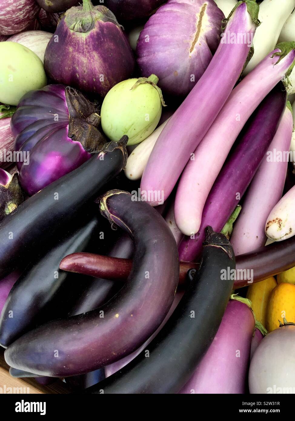 Close up of various types of egg plant in the produce aisle of the