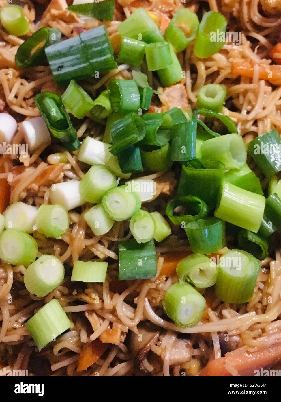 Stir fry with noodles, chicken and scallions / spring onions Stock Photo