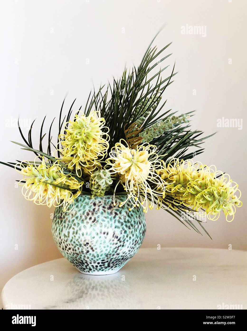 Grevillea in vase - Smartphone Captured Stock Image