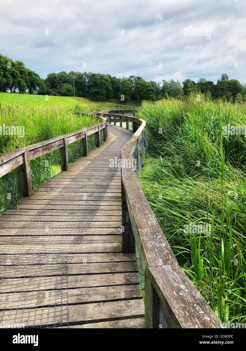 Wooden walkway through the reeds Stock Photo