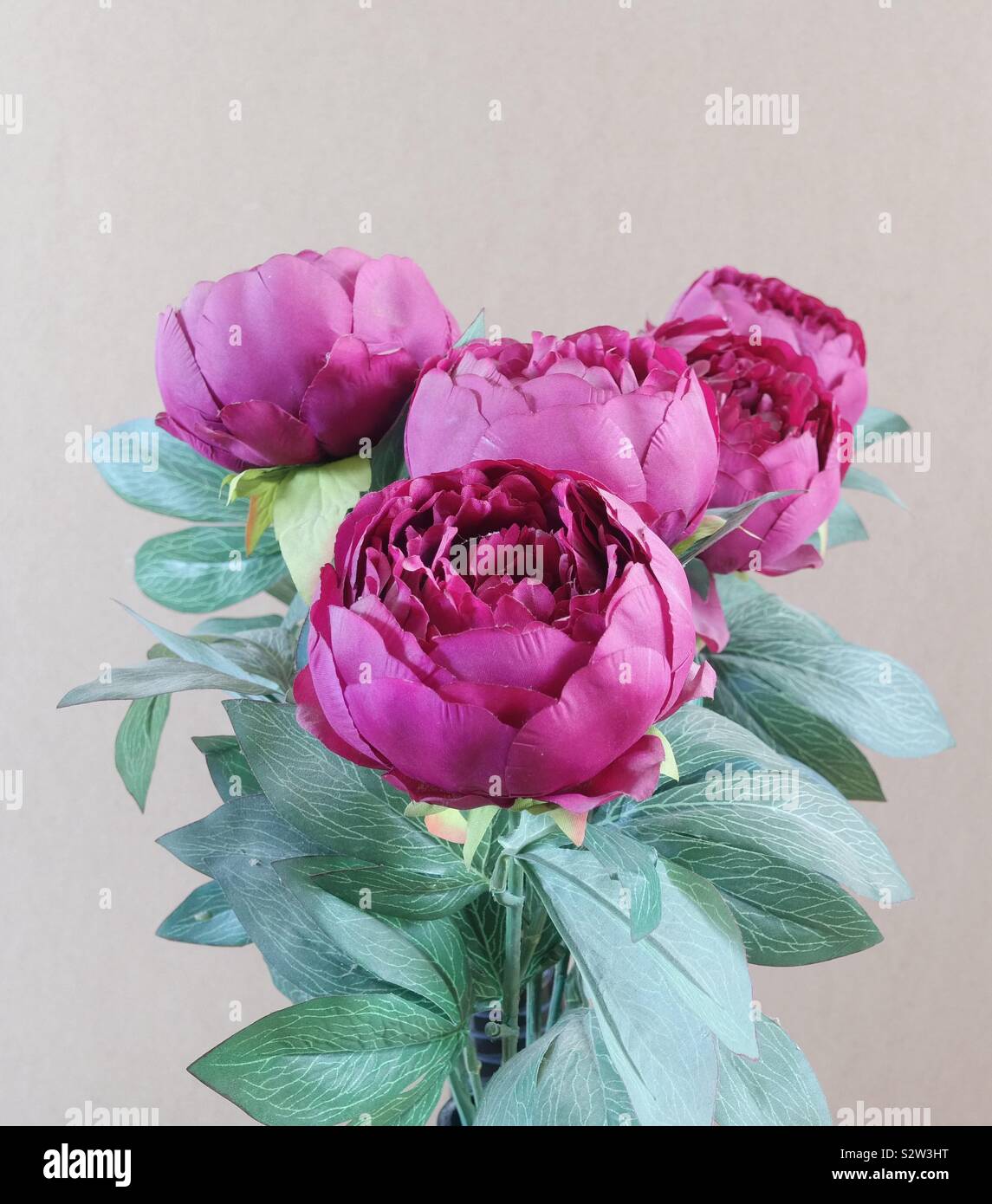 Artificial peony flowers Stock Photo Alamy