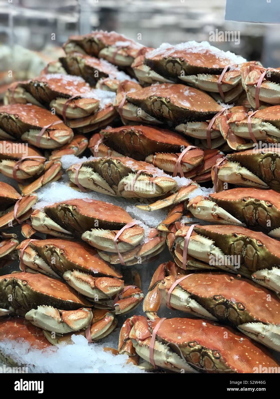 Fresh Crabs on the Cold Ice Stock Photo Alamy