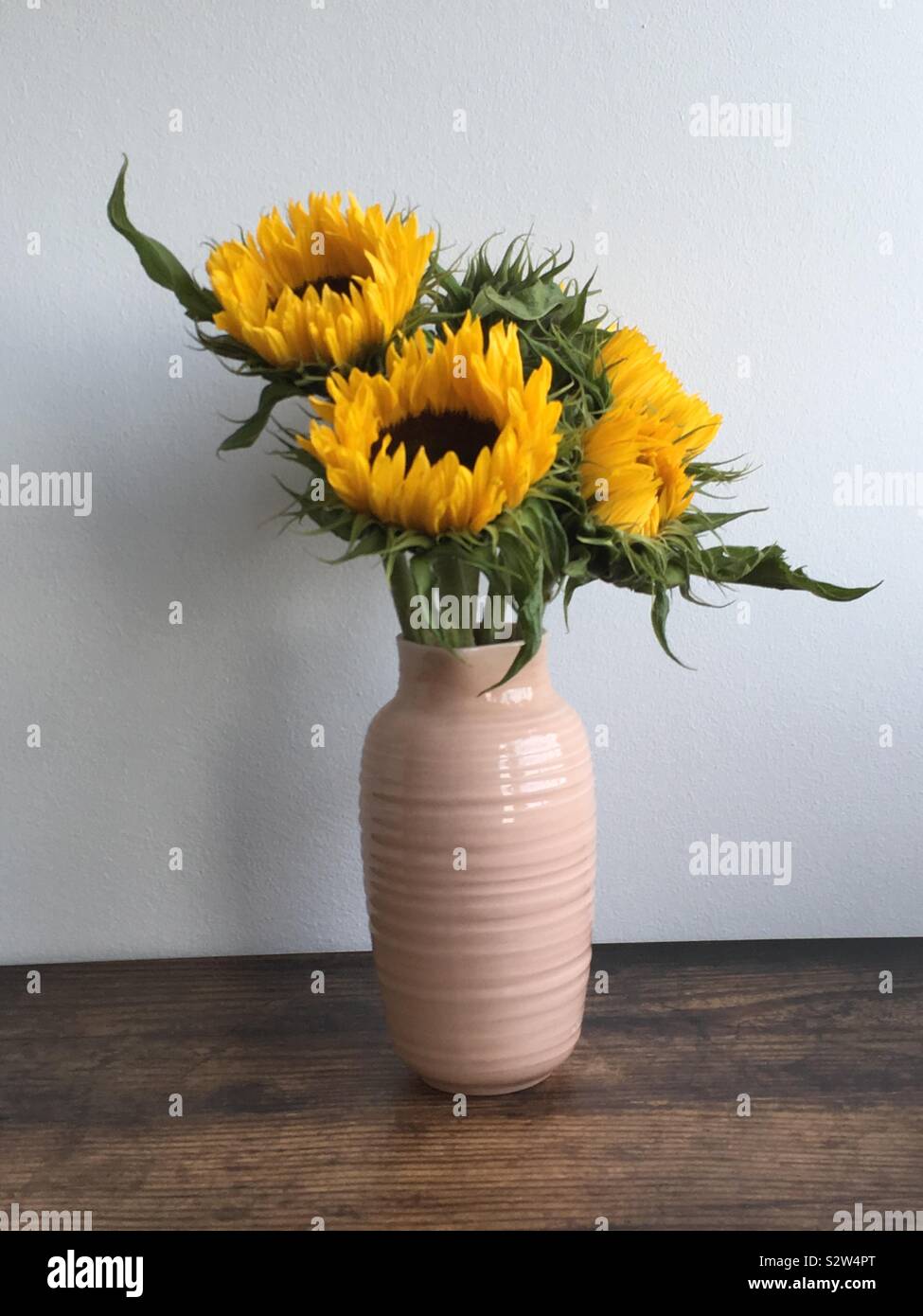 Vase of sunflowers on a wooden table against white wall - Smartphone Captured Stock Image
