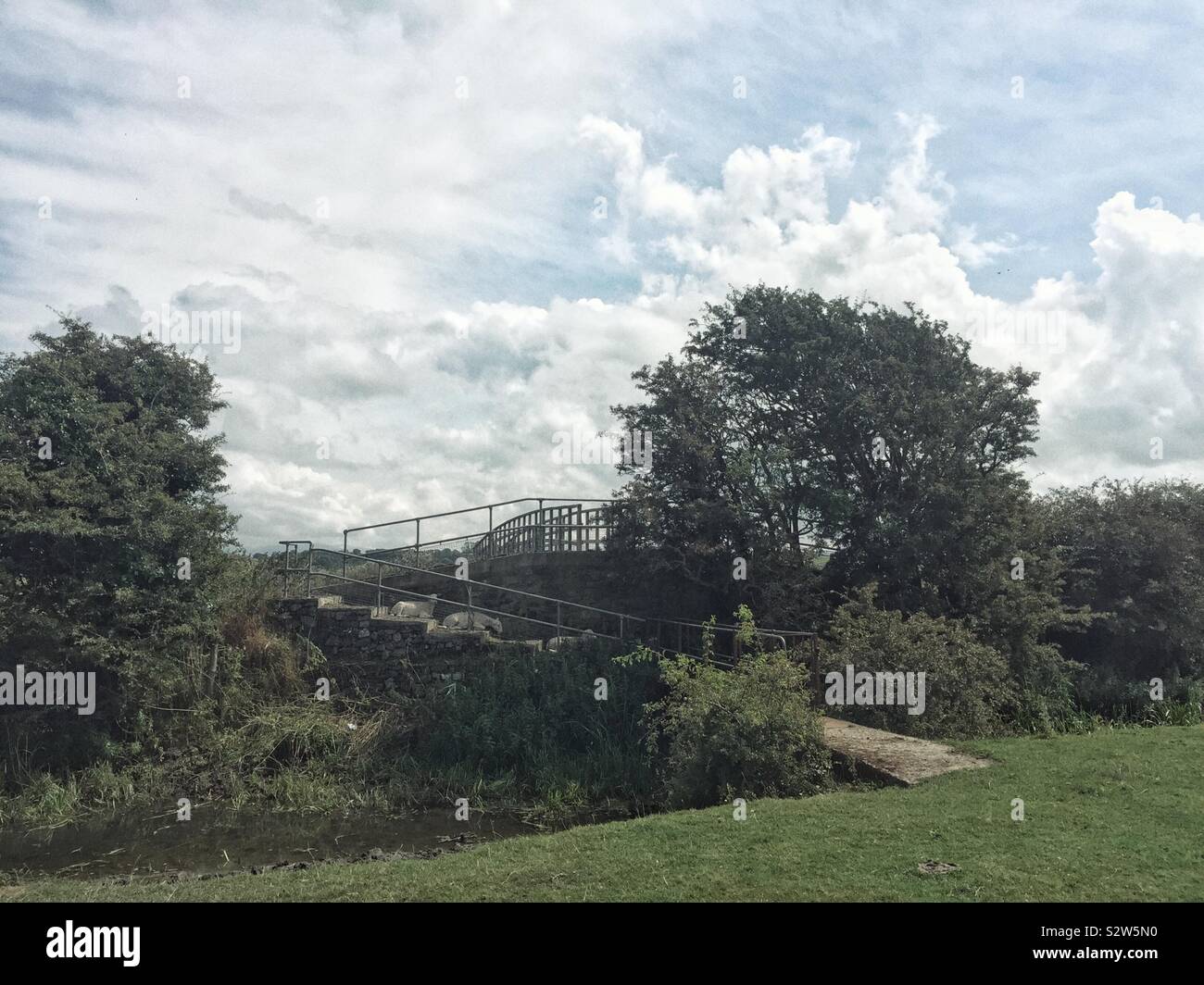 Sheep resting on a bridge crossing a canal inland Anglesey near Llangefni on a public footpath, North Wales, UK - Smartphone Captured Stock Image