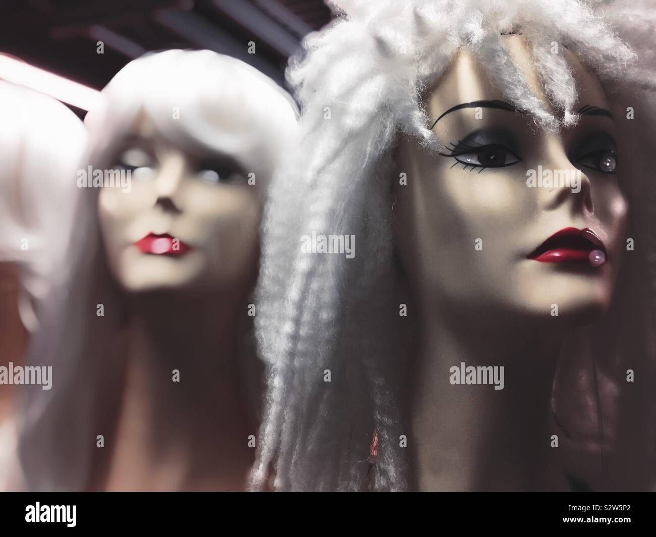 Female manikin heads with platinum wigs - Smartphone Captured Stock Image