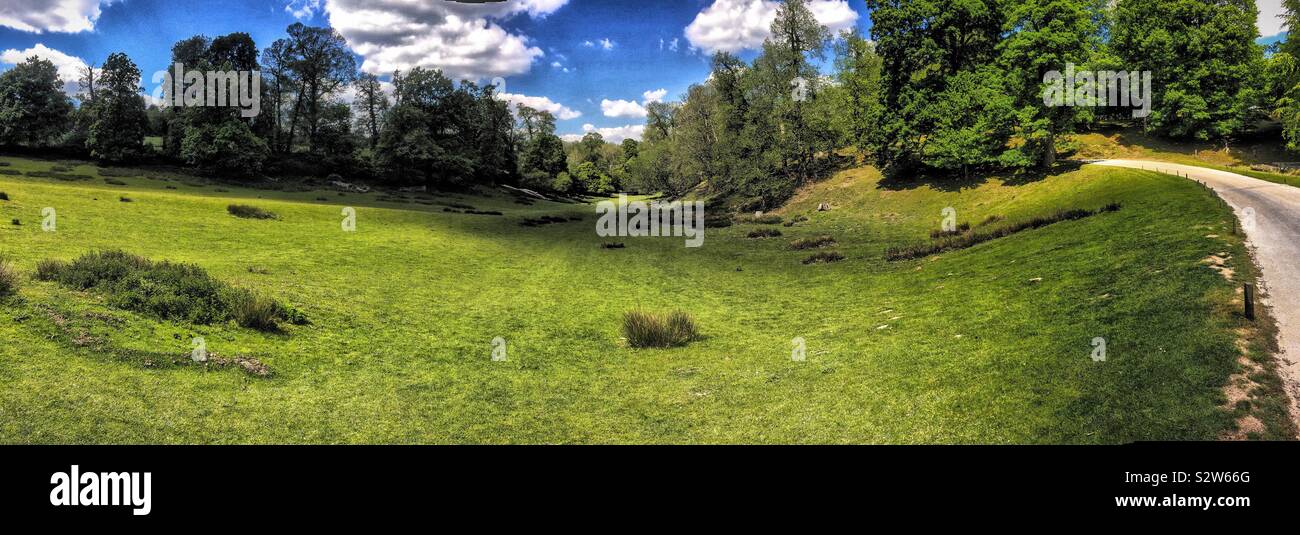 Parkland in Sevenoaks, Kent - Smartphone Captured Stock Image