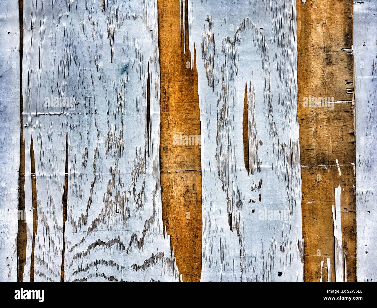 Weathered wooden fence peeling, background - Smartphone Captured Stock Image