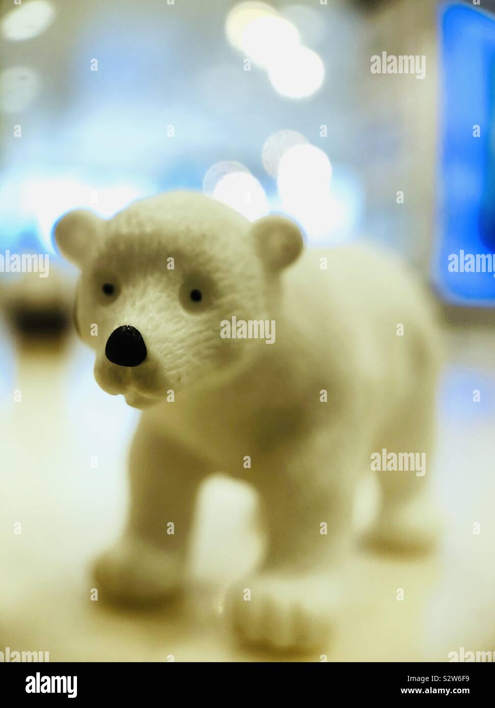 Polar bear - Smartphone Captured Stock Image