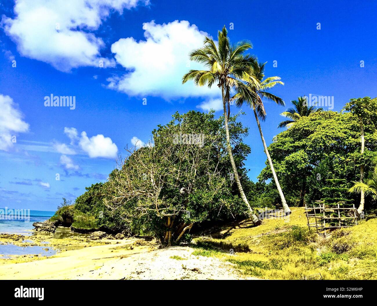 The Isle of Pines is a French territory in the South Pacific. The island is known for its tall pine trees and white sand beaches. Stock Photo