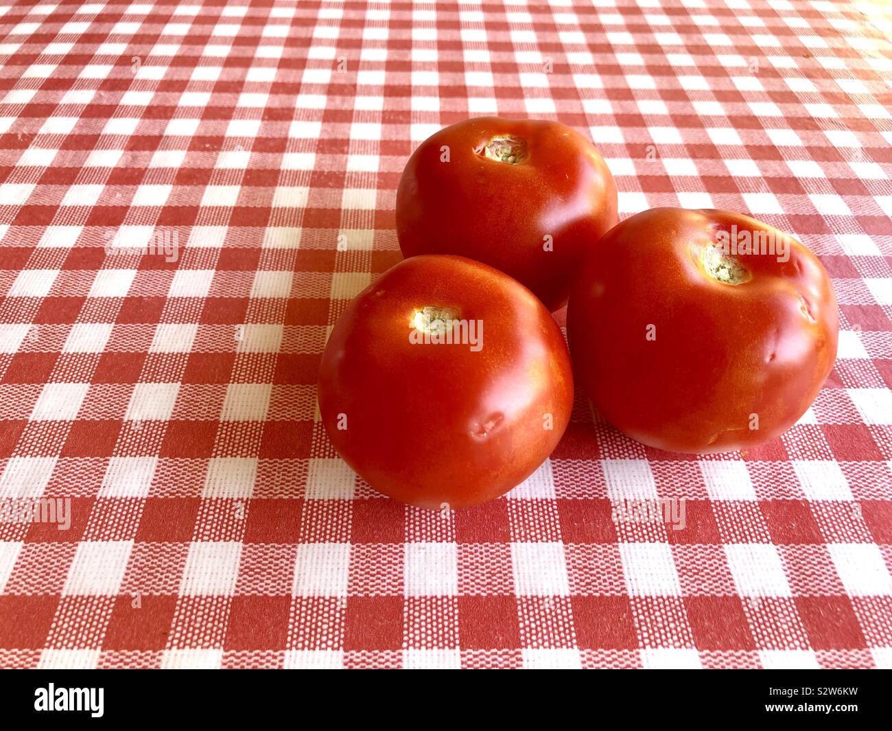 Three large tomatoes on a red and white checked background Stock Photo
