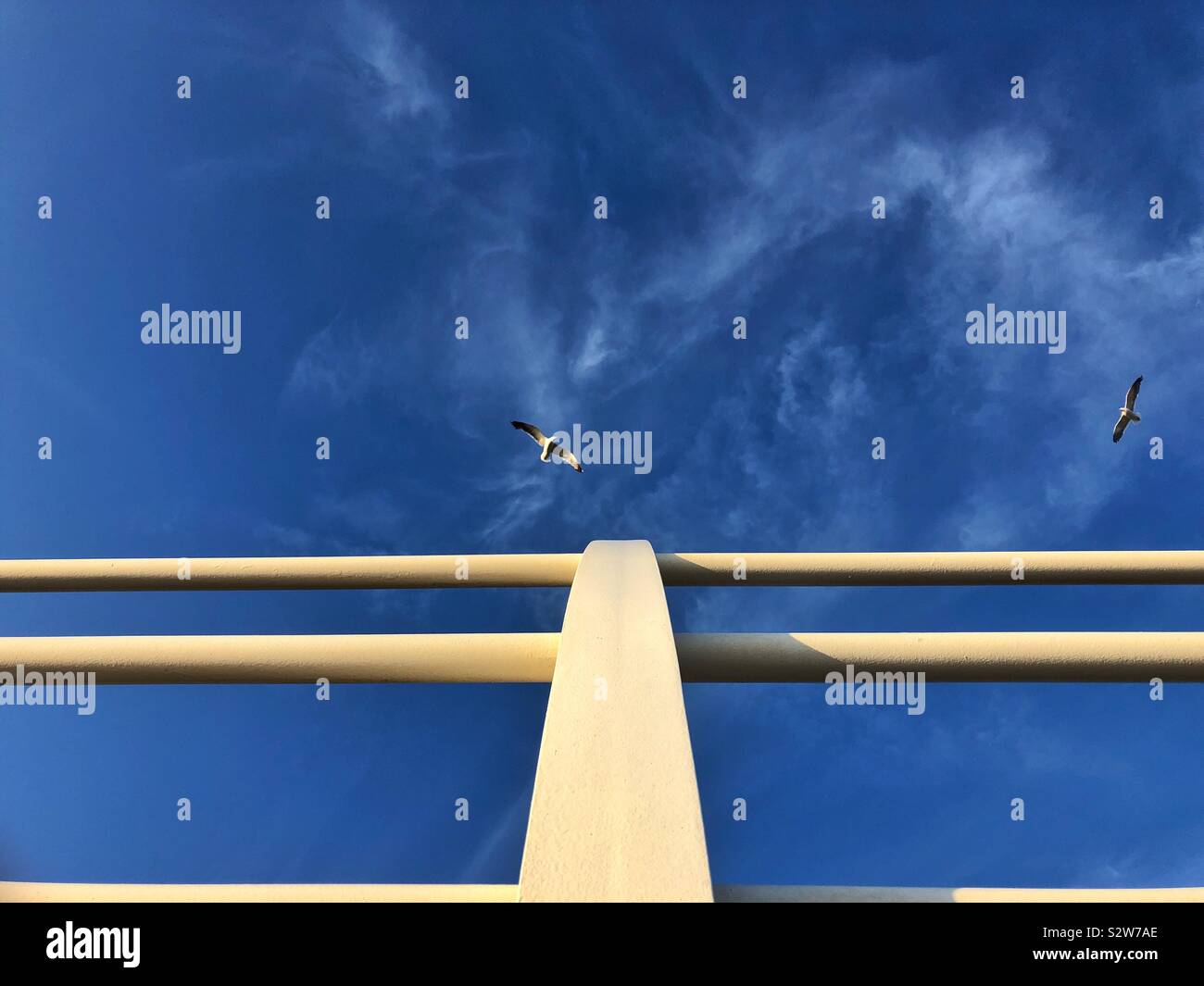 Railings, seagulls and blue sky. - Smartphone Captured Stock Image