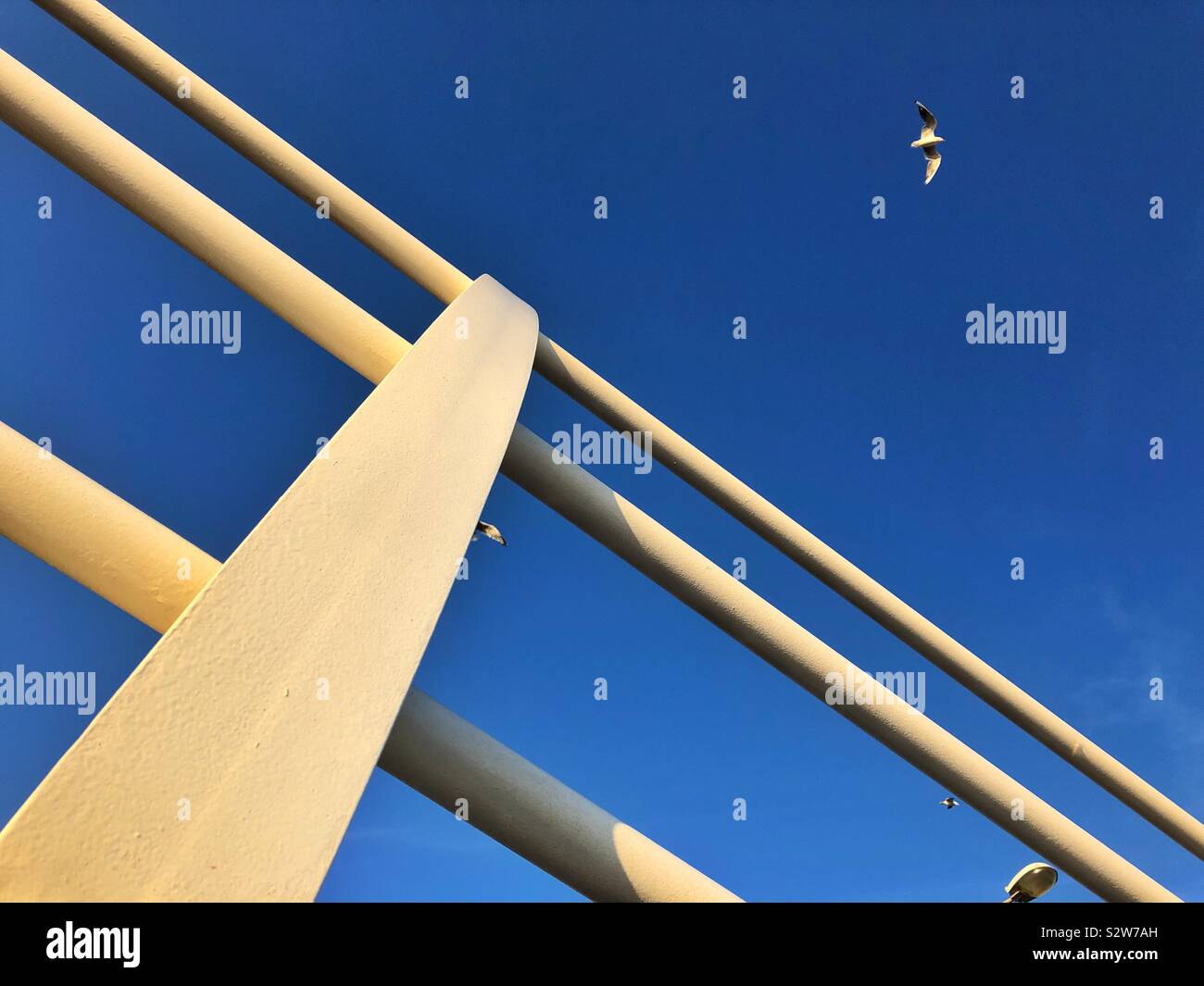 Railings, blue sky and seagulls - Smartphone Captured Stock Image