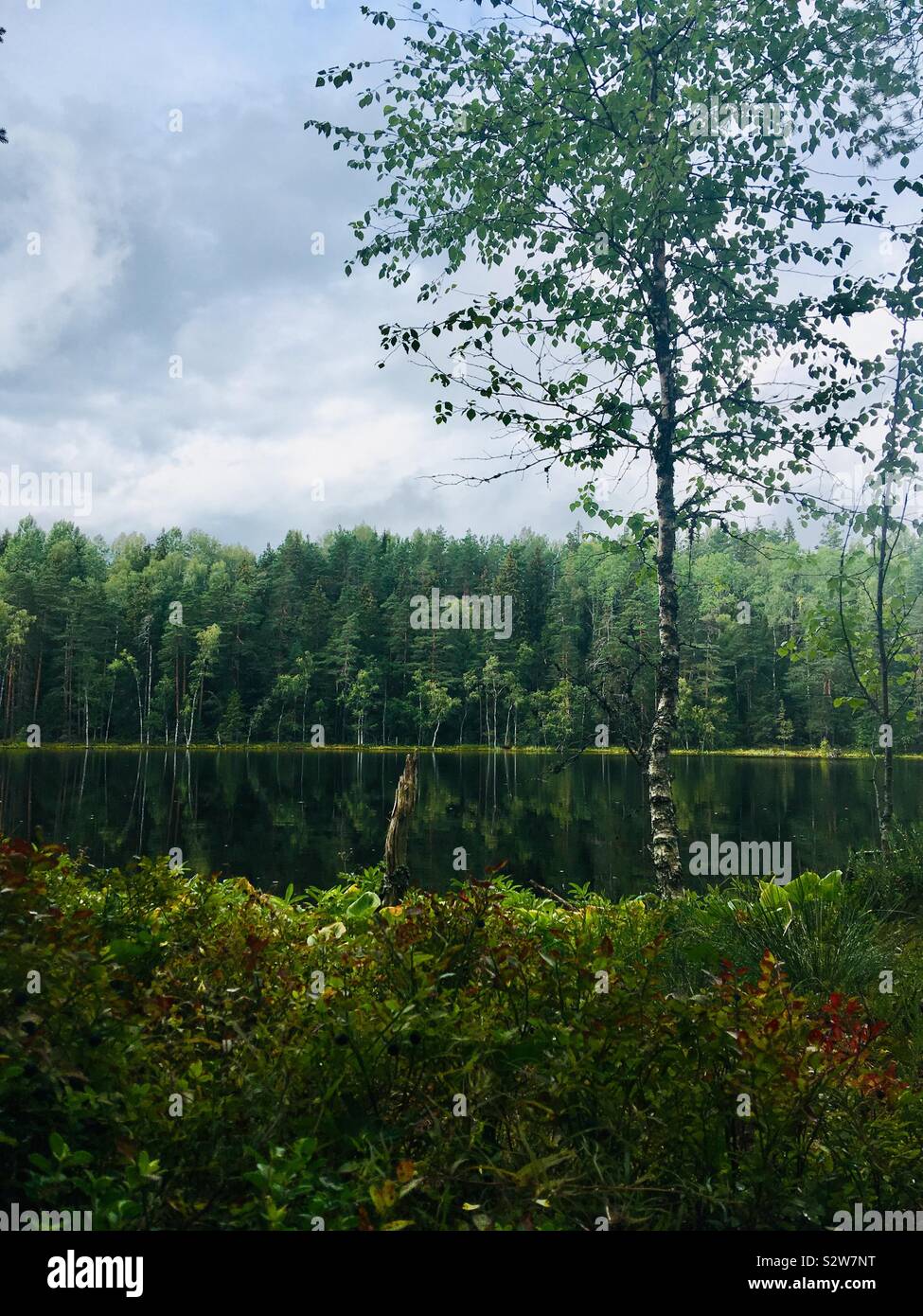 Estonia - Smartphone Captured Stock Image