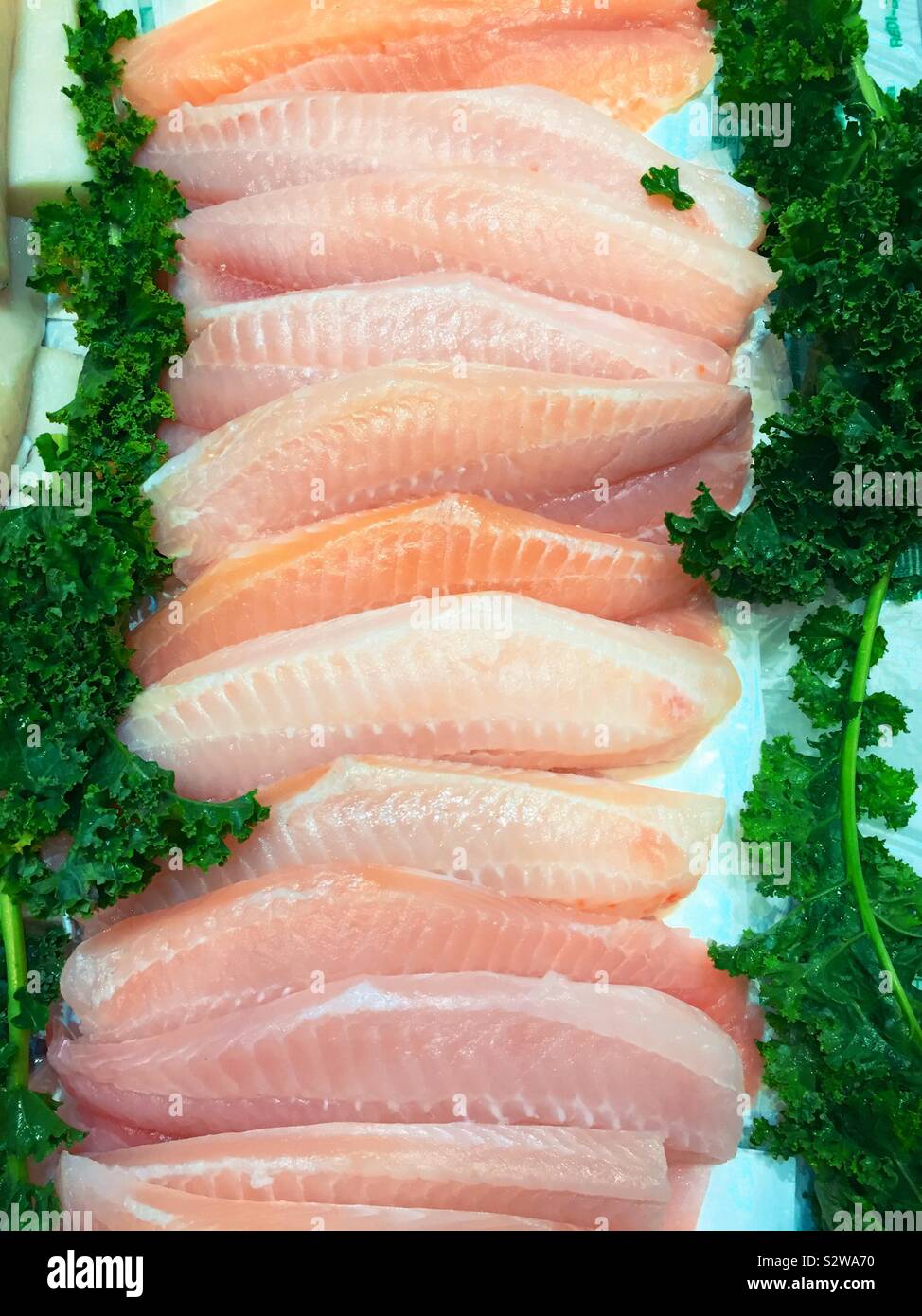 Fresh fillets of tilapia for sale at a fishmarket, NYC, USA Stock Photo