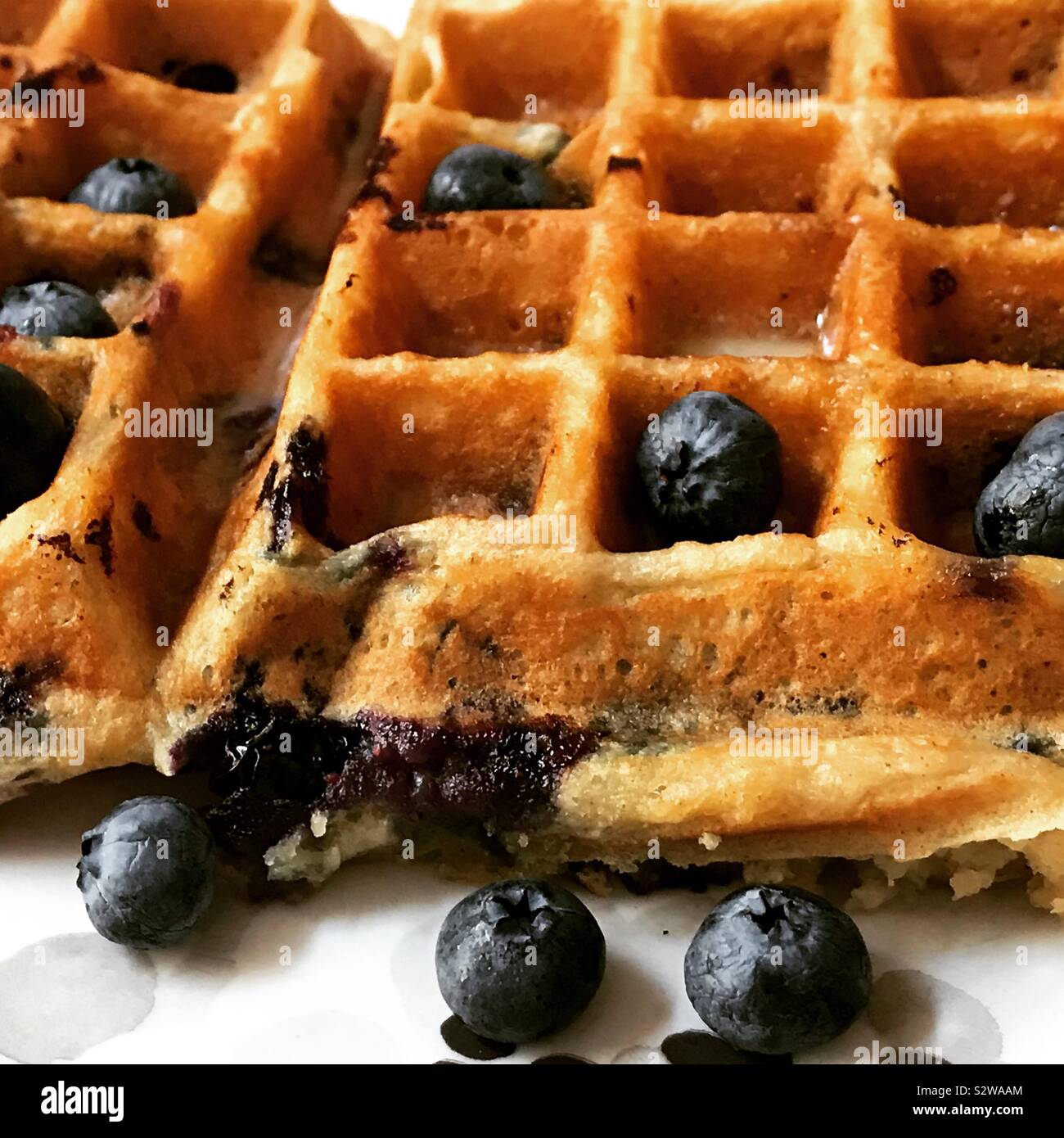 Golden blueberry waffles with fresh blueberries in foreground Stock Photo