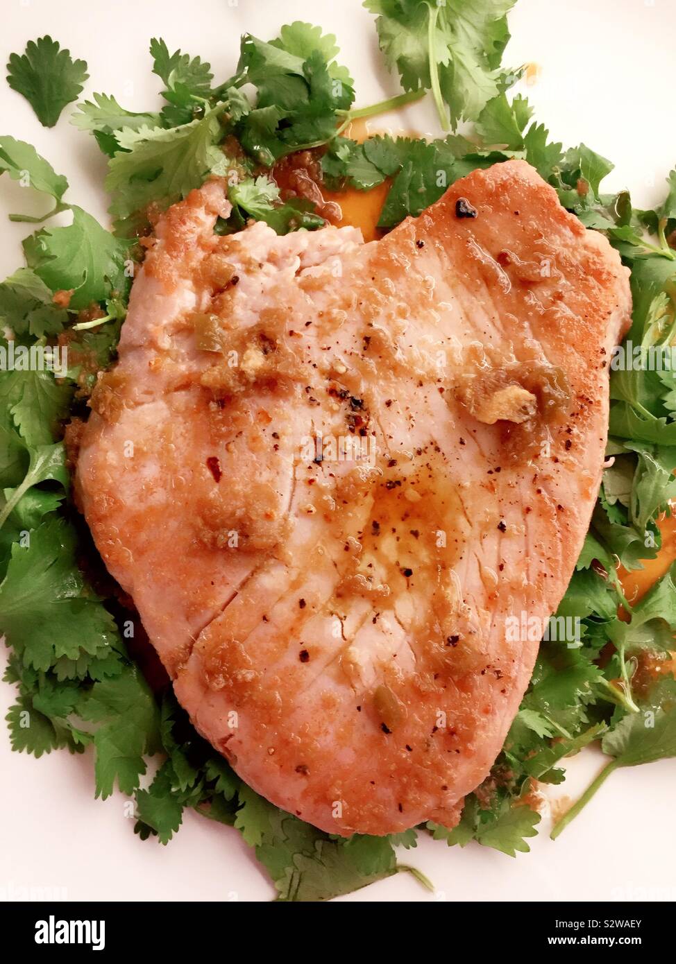 Flat play image of a seared tuna steak on a bed of cilantro - Smartphone Captured Stock Image