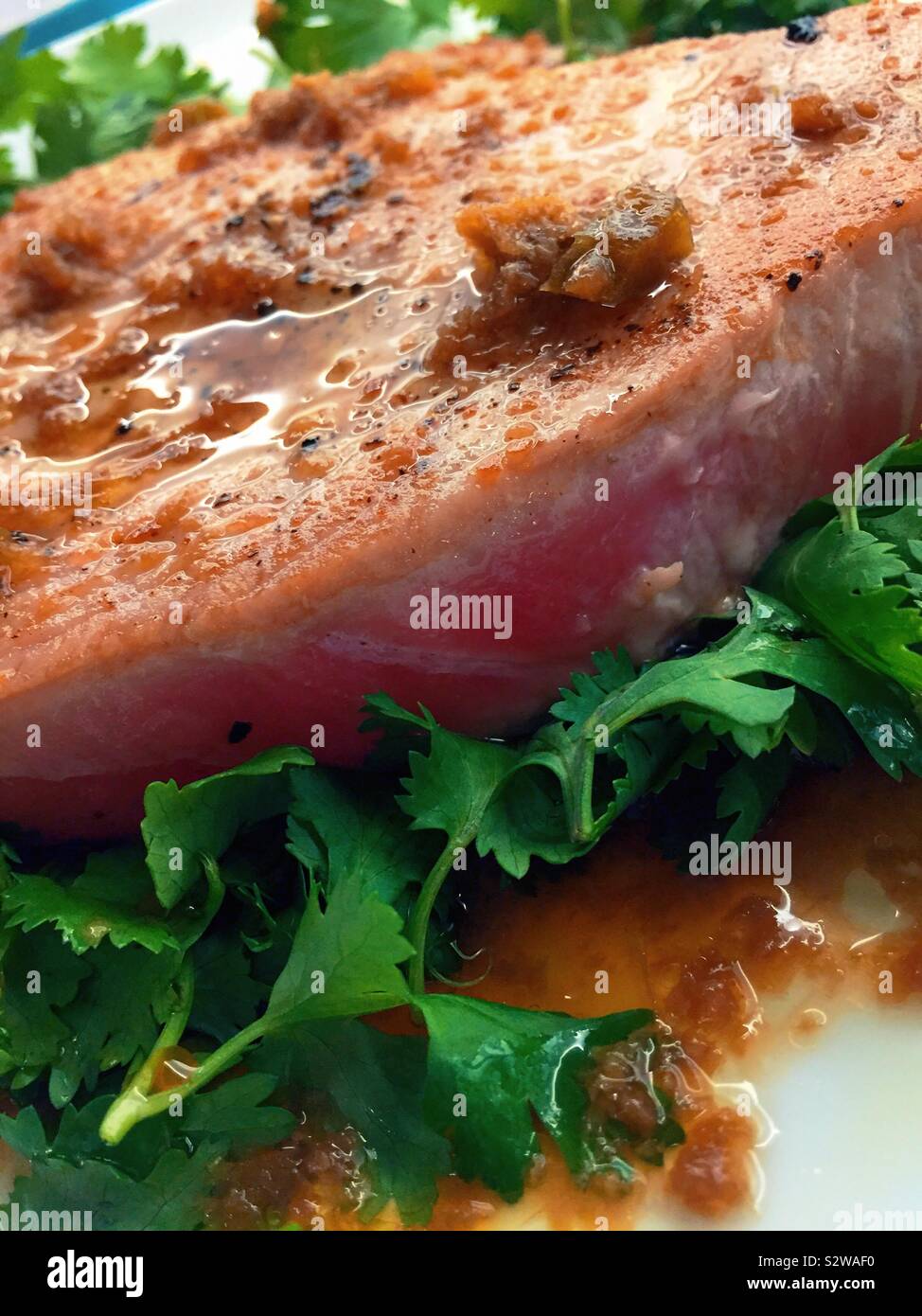 Flat lay image of a seared tuna steak on a bed of cilantro - Smartphone Captured Stock Image