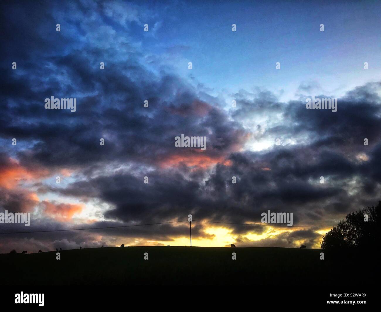 Dramatic sky over farmland - Smartphone Captured Stock Image