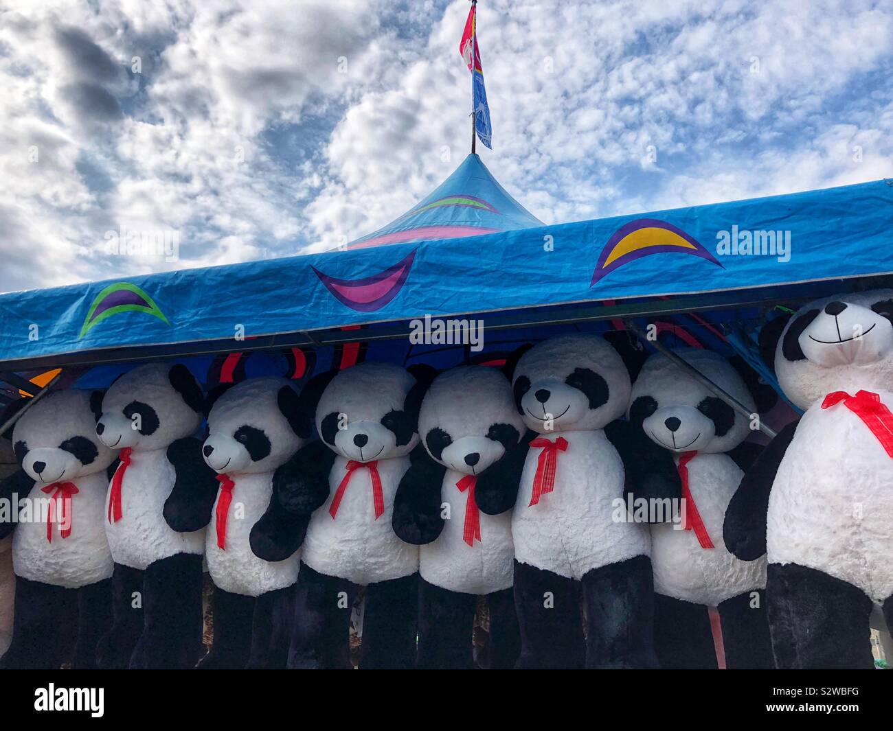A row of hanging pandas at the Canadian National Exhibition in Toronto, Ontario. - Smartphone Captured Stock Image