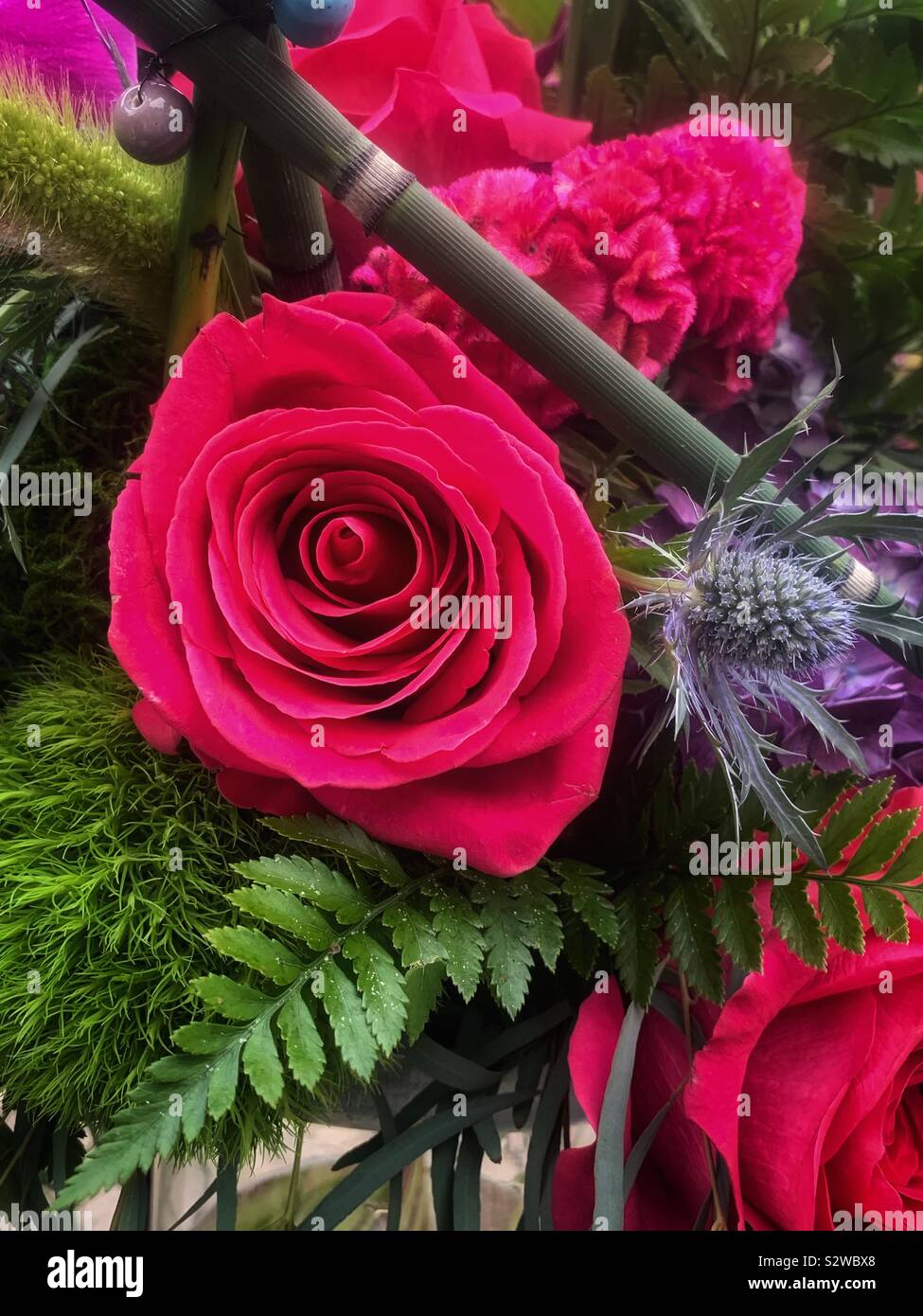 Beautiful flower arrangement with deep pink roses in full bloom. - Smartphone Captured Stock Image