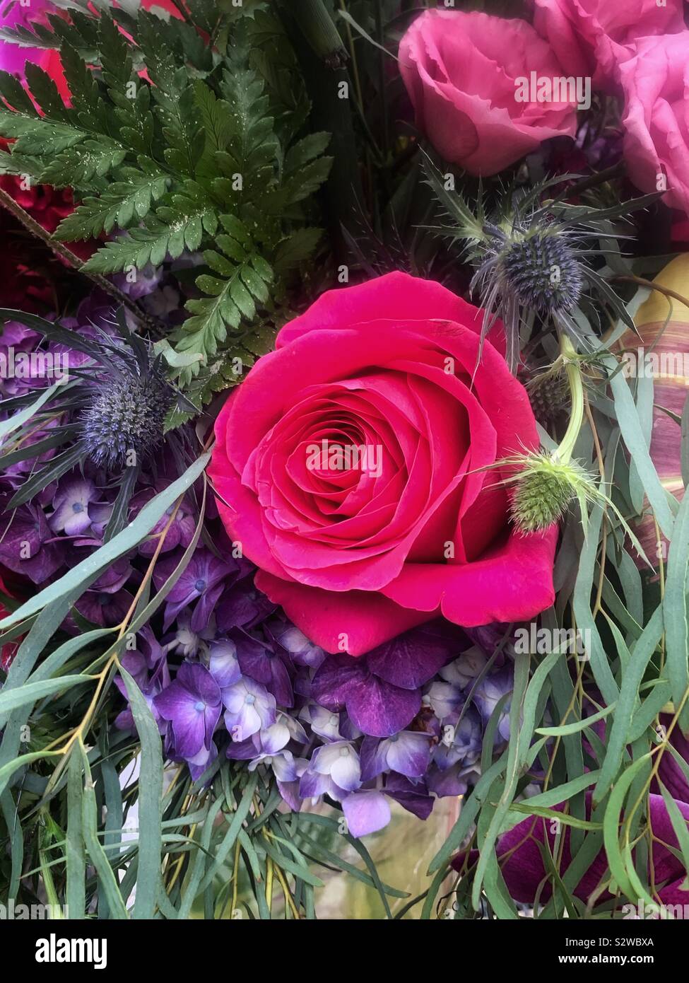 Beautiful flower arrangement with deep pink roses in full bloom. Stock Photo