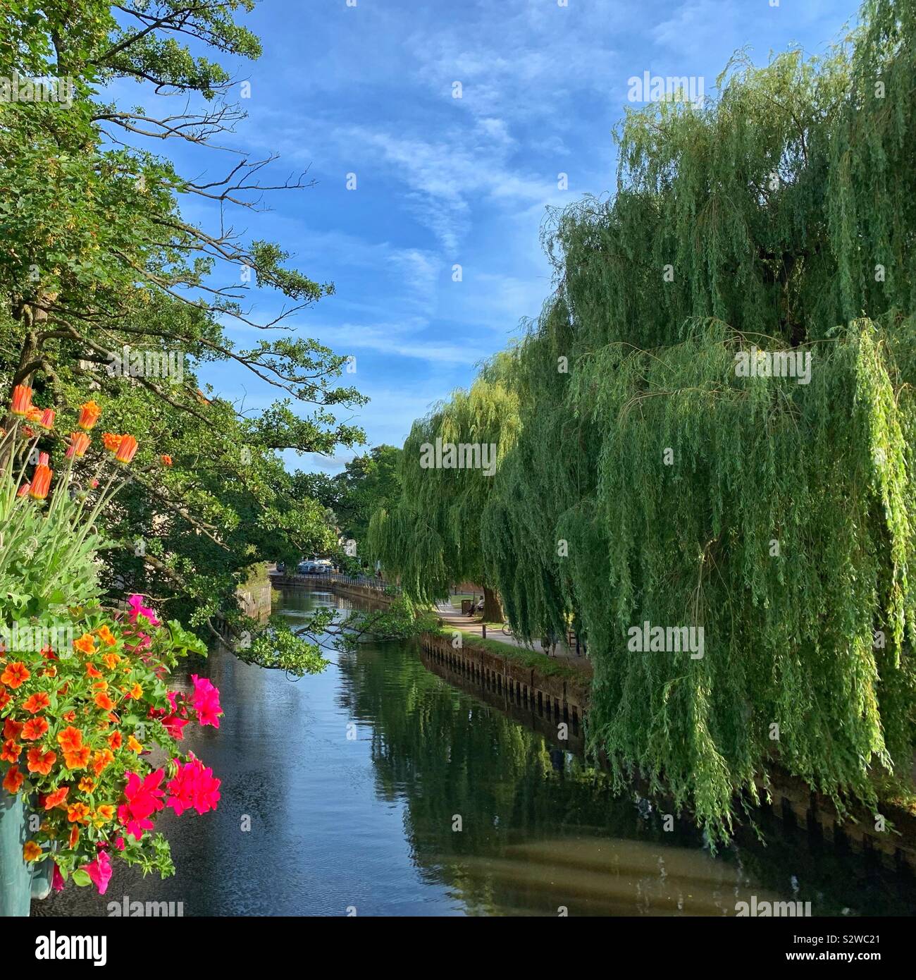 River Wey, Guildford Stock Photo