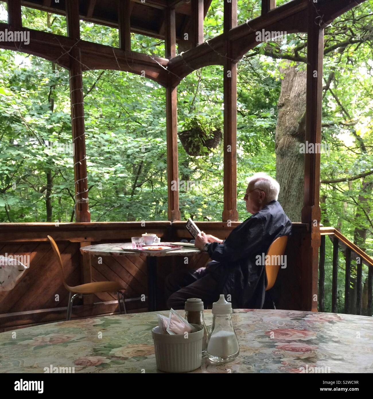 A senior man enjoys a book at Queen’s Wood Cafe, London - Smartphone Captured Stock Image