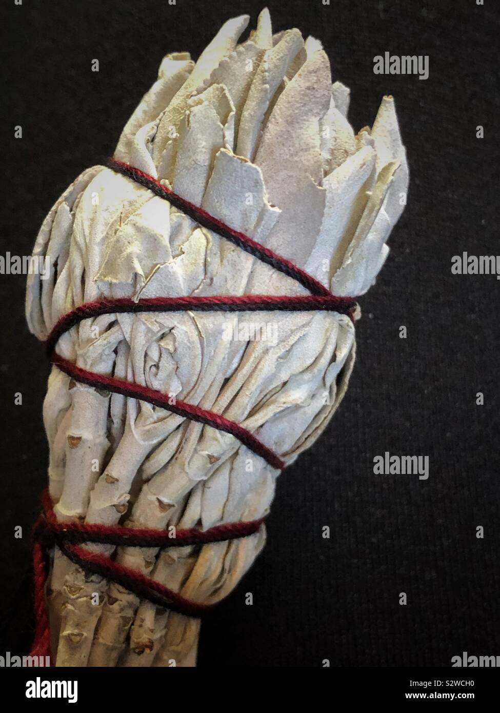 A white sage bundle that when lit, the smoke it produces can be used to purify a room or the space around a person. - Smartphone Captured Stock Image