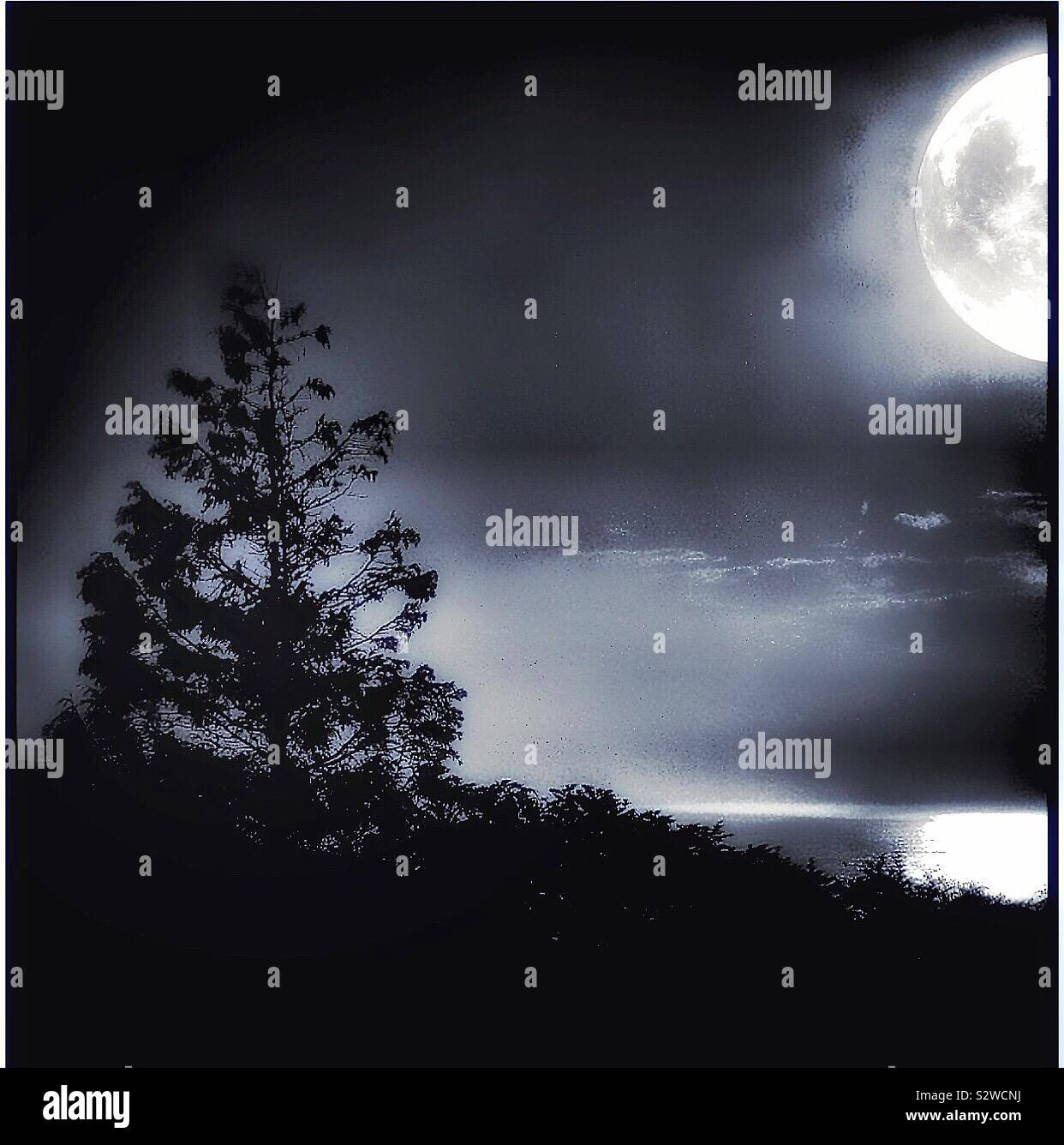 Sci fi monochrome black white hi-res stock photography and images - Alamy
