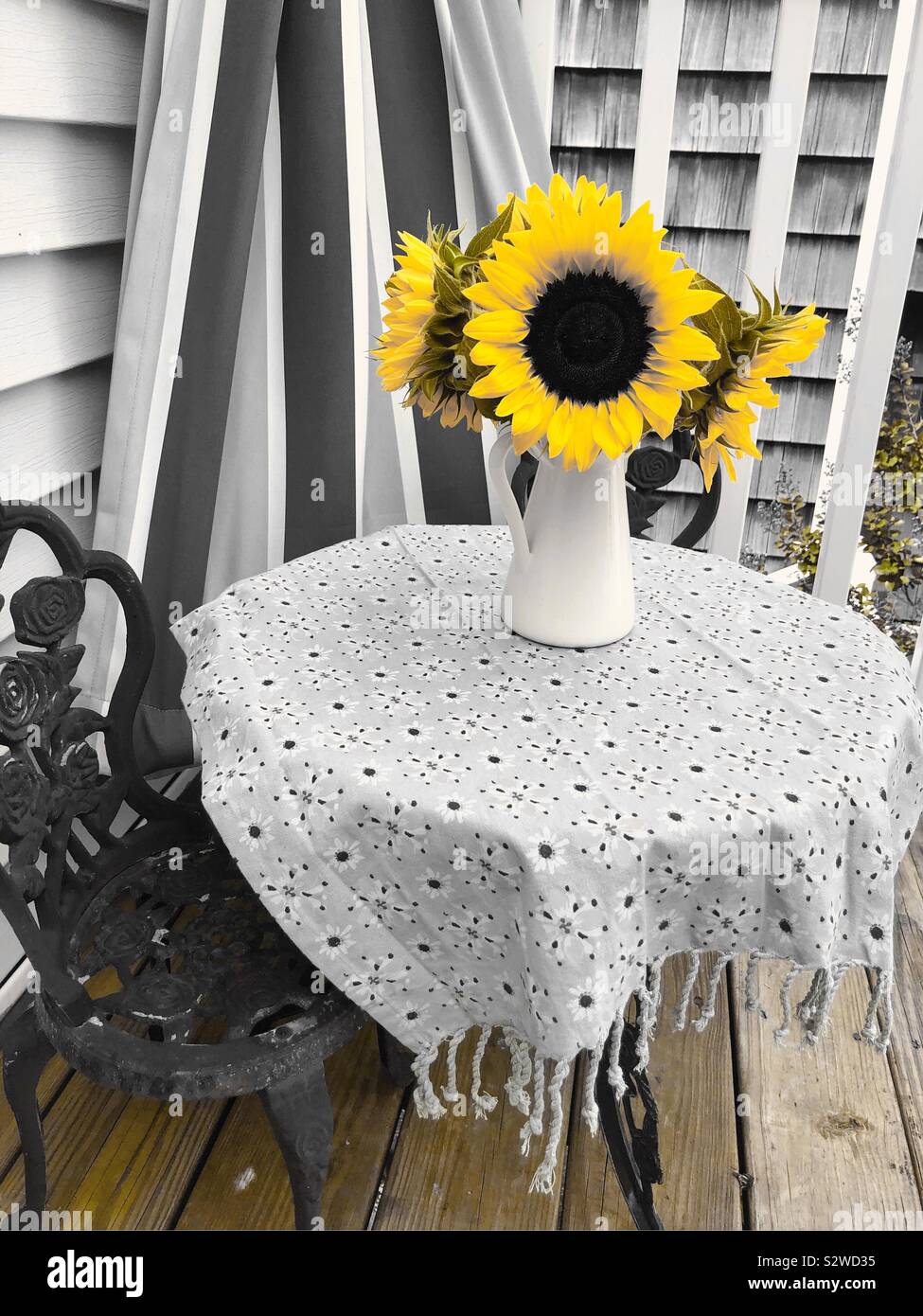 Yellow Sunflowers On A Patio Stock Photo Alamy