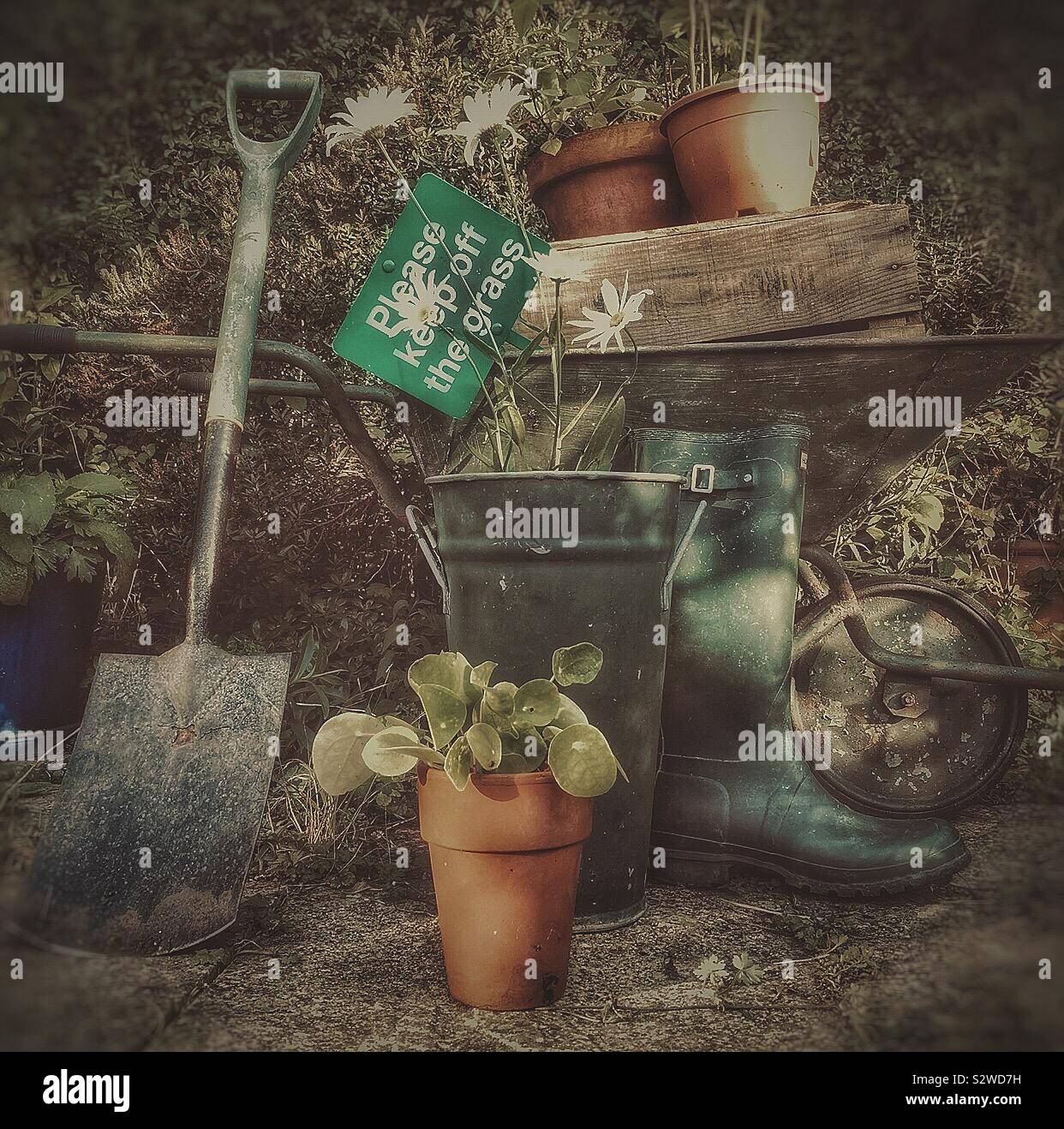 Gardening - Smartphone Captured Stock Image