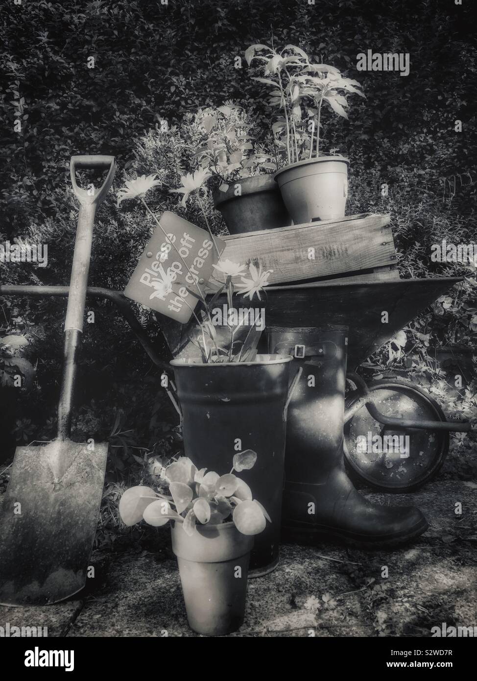 Gardening. - Smartphone Captured Stock Image