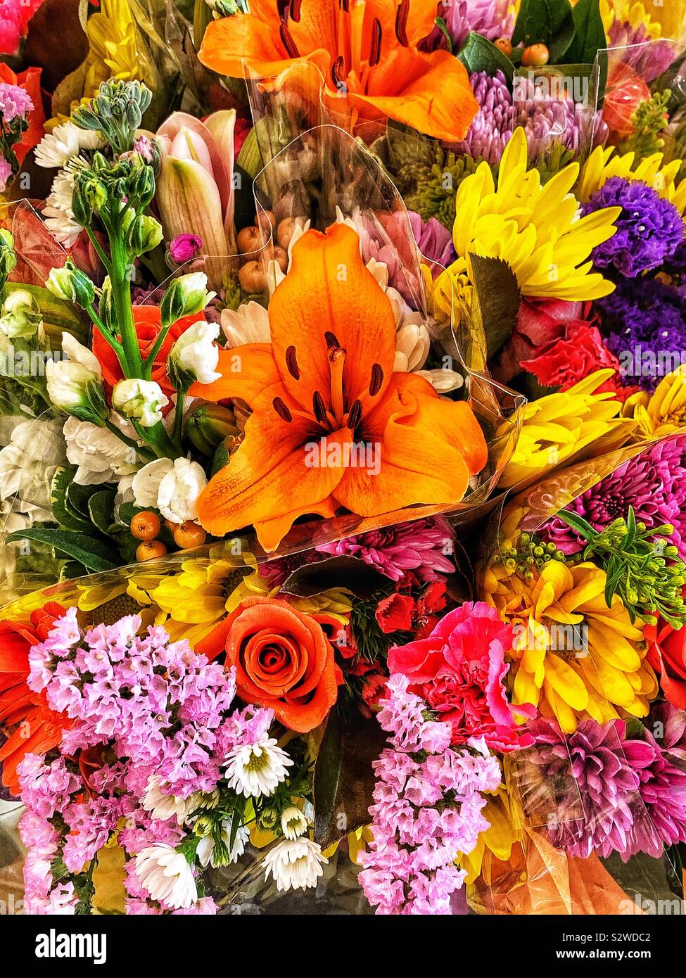 Many colorful fresh flower bouquets full of colorful summer blossoms. - Smartphone Captured Stock Image
