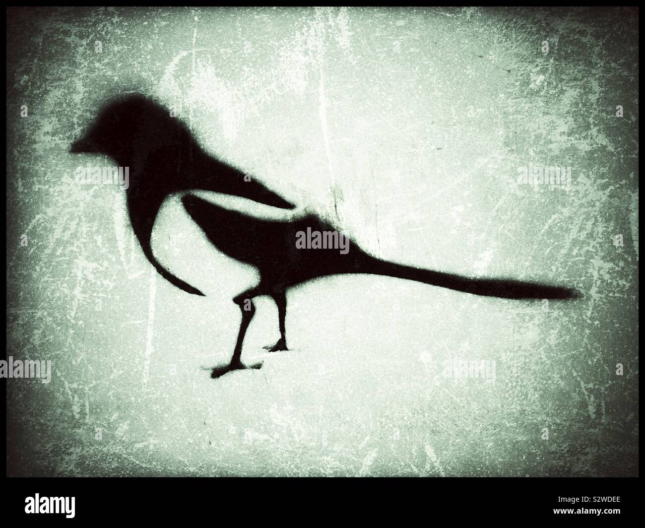 Magpie symbol on a wind turbine, Catalonia, Spain. - Smartphone Captured Stock Image