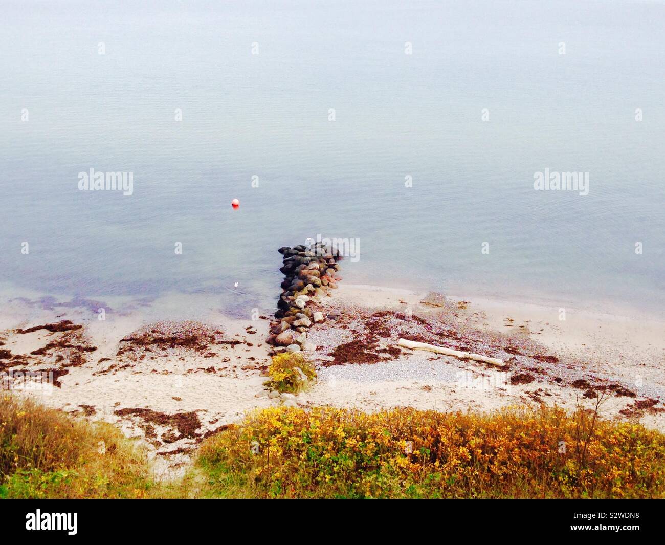 Water's edge in Aahrus, Denmark with Autumn colours on the shoreline and calm waters with copy space Stock Photo