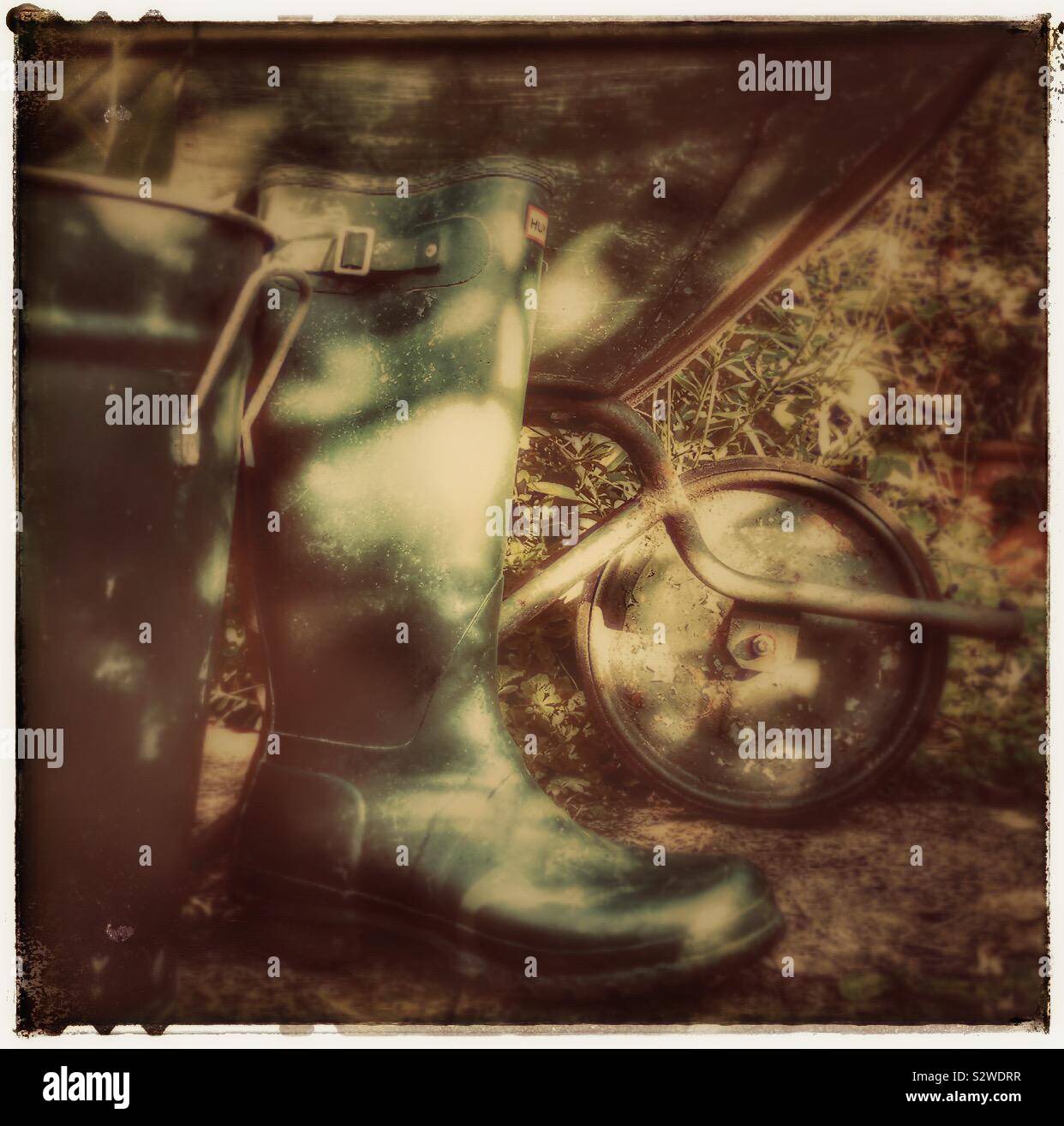 Gardening - Smartphone Captured Stock Image