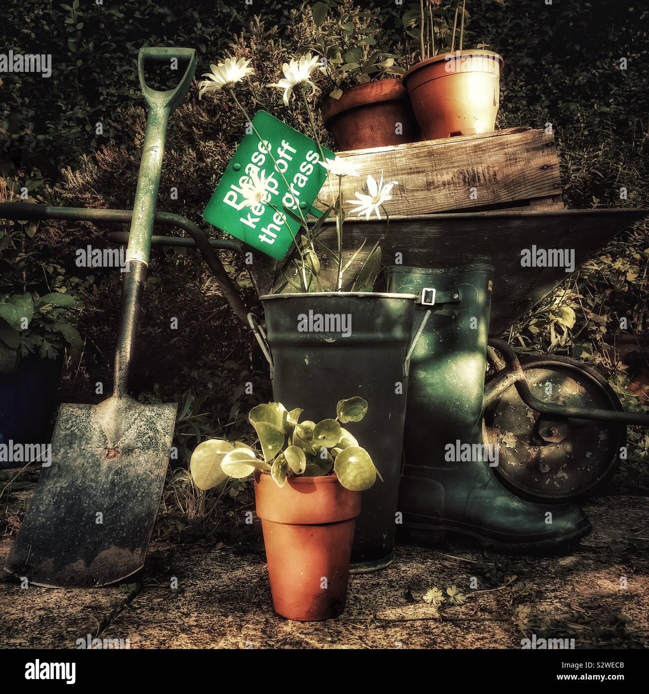 Garden tools - Smartphone Captured Stock Image