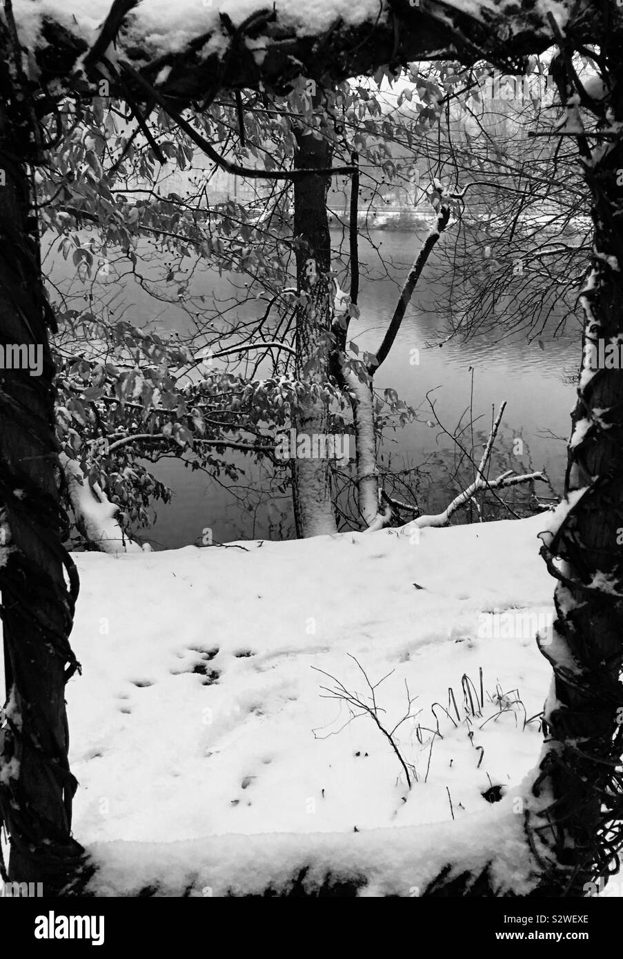 Snowy lake through a wooden frame- black and white Stock Photo