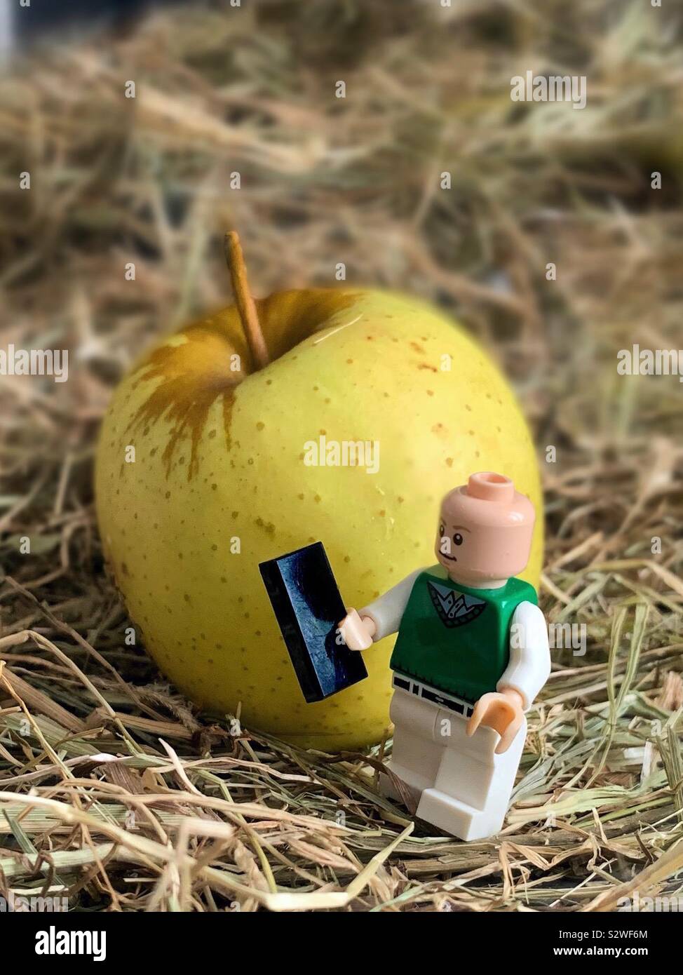 Lego figure holding a smart phone mobile device.  Concept in anticipation of new Apple iPhone release and iOS 13. iOS 14 Stock Photo
