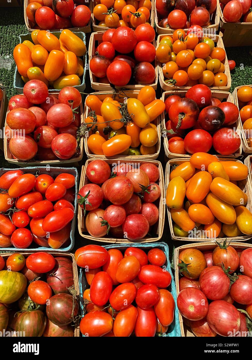 Variety of beautiful tasty summer tomatoes. Stock Photo